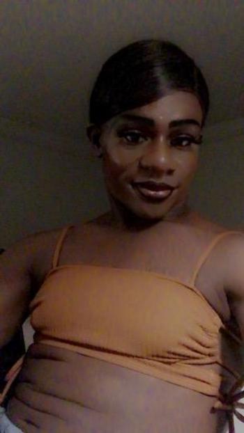 8133205370, transgender escort, Tampa