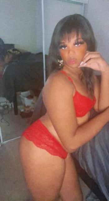 8135401684, transgender escort, Tampa