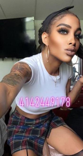 4142449178, transgender escort, Tampa