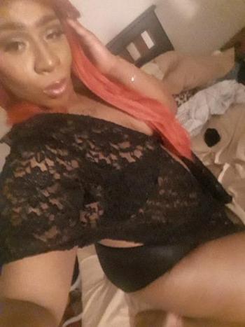 3862449596, transgender escort, Tampa