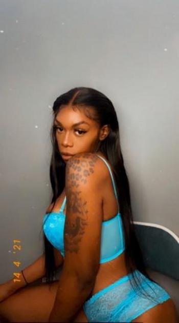 4697143026, transgender escort, Tampa