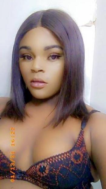 8133779319, transgender escort, Tampa