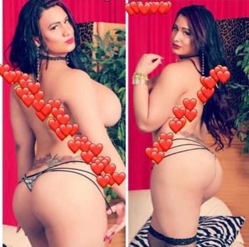 8133045142, transgender escort, Tampa