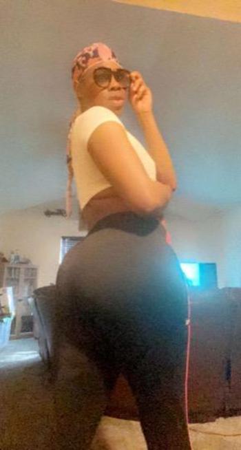 7279989241, transgender escort, Tampa