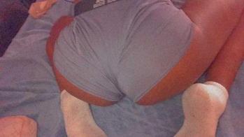 8135579055, transgender escort, Tampa