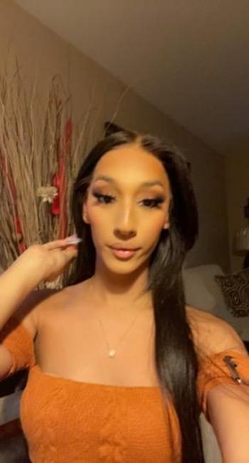 3213572251, transgender escort, Tampa