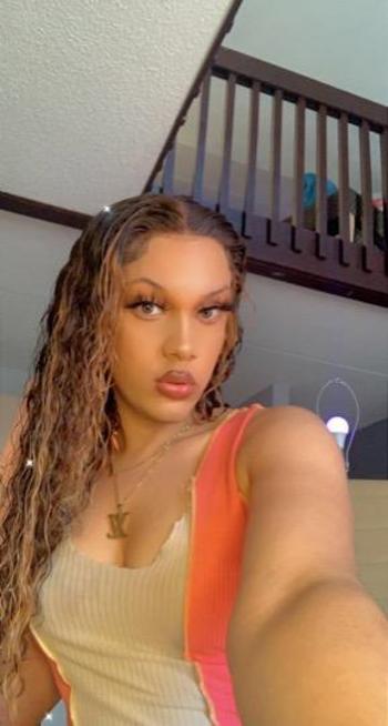 3213699110, transgender escort, Tampa