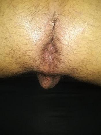 3214146264, transgender escort, Tampa