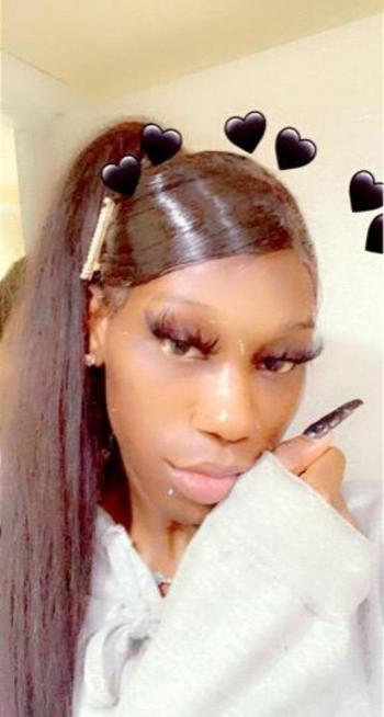 8133203731, transgender escort, Tampa