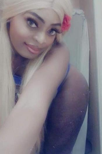 7273151144, transgender escort, Tampa