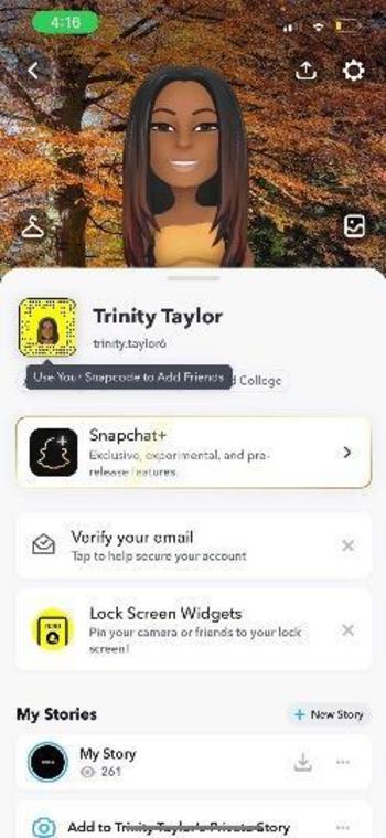 4433641423, transgender escort, Tampa