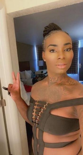 3052095345, transgender escort, Tampa