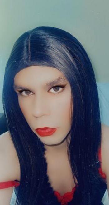 7279165403, transgender escort, Tampa