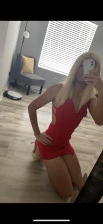 3528979482, transgender escort, Tampa