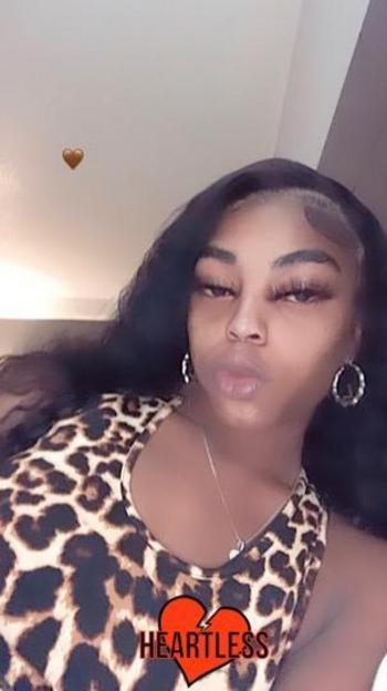 8134303815, transgender escort, Tampa