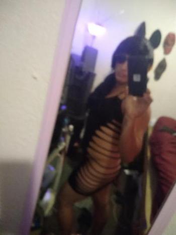 8633336237, transgender escort, Tampa