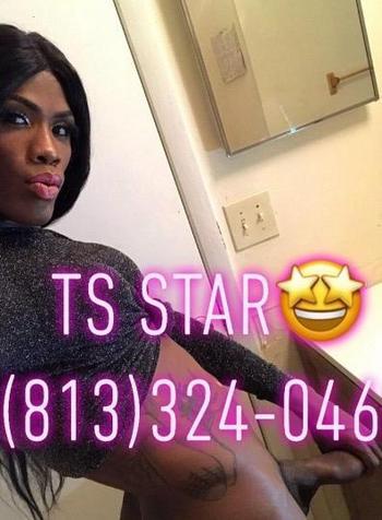 8133240469, transgender escort, Tampa